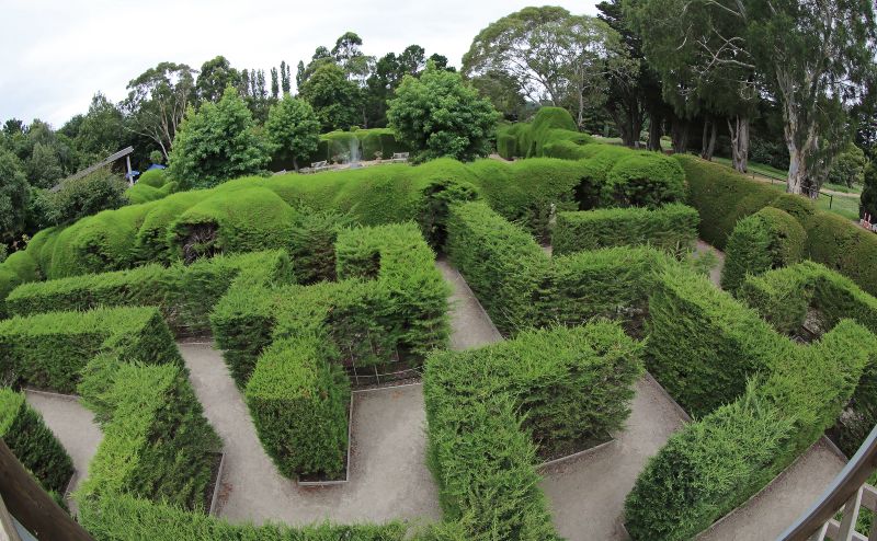 Ashcombe Maze and Lavender Gardens