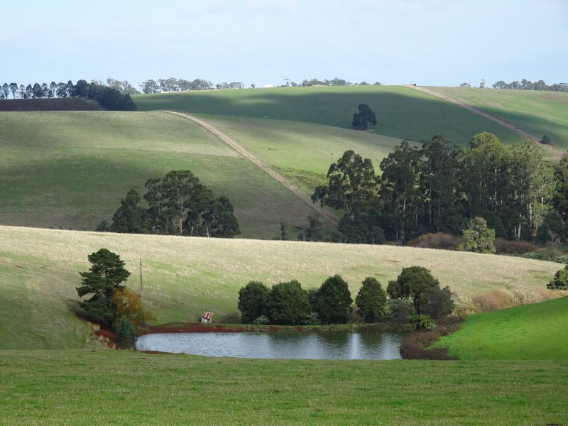 Gembrook Milling field
