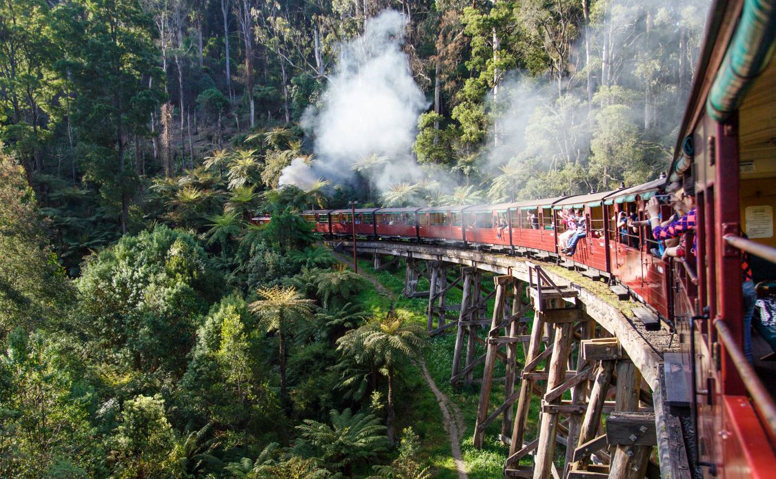 Gembrook puffing billy
