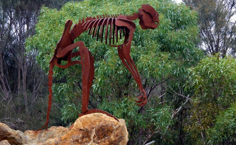 A sculpture of a giant short-faced kangaroo skeleton in Naracoorte Caves National Park