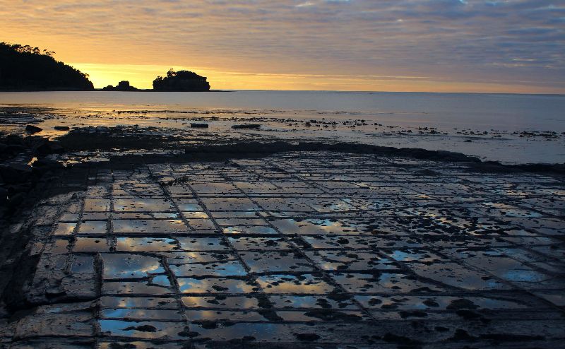 sunrise at tesselated pavement Tasmania