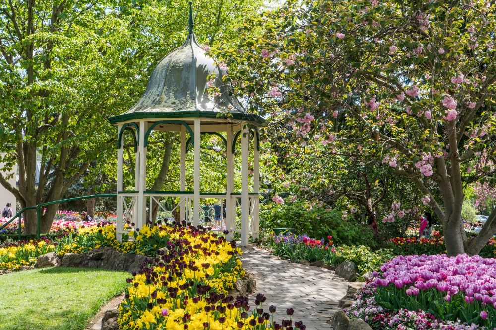 Tulip Time in the Southern Highlands