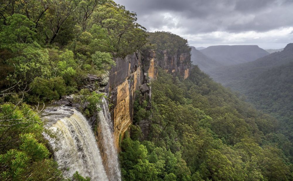 Fitzroy Falls 