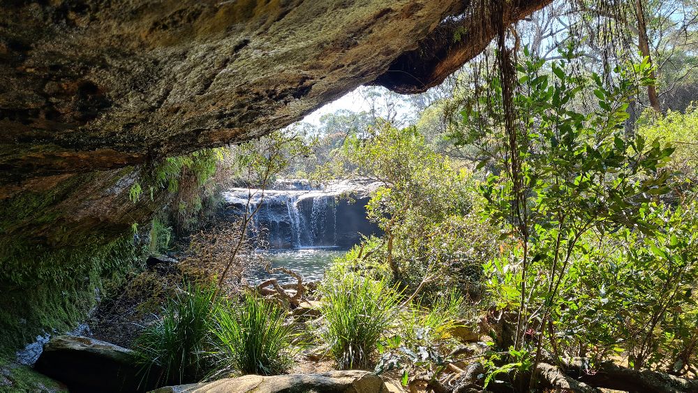 Nellies Glen Southern Highland