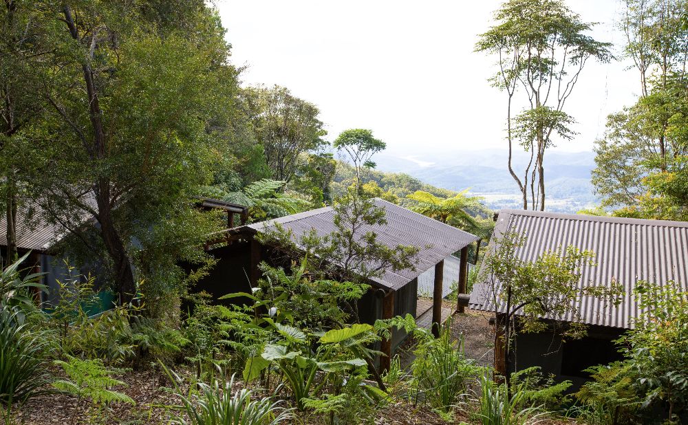 1023146 134 Lamington National Park