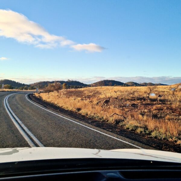 NSW Travel Guide 6 A road trip from Sydney