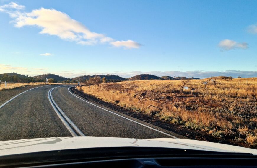 A road trip from Sydney