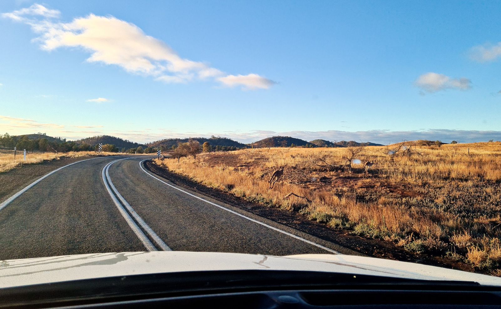 A road trip from Sydney