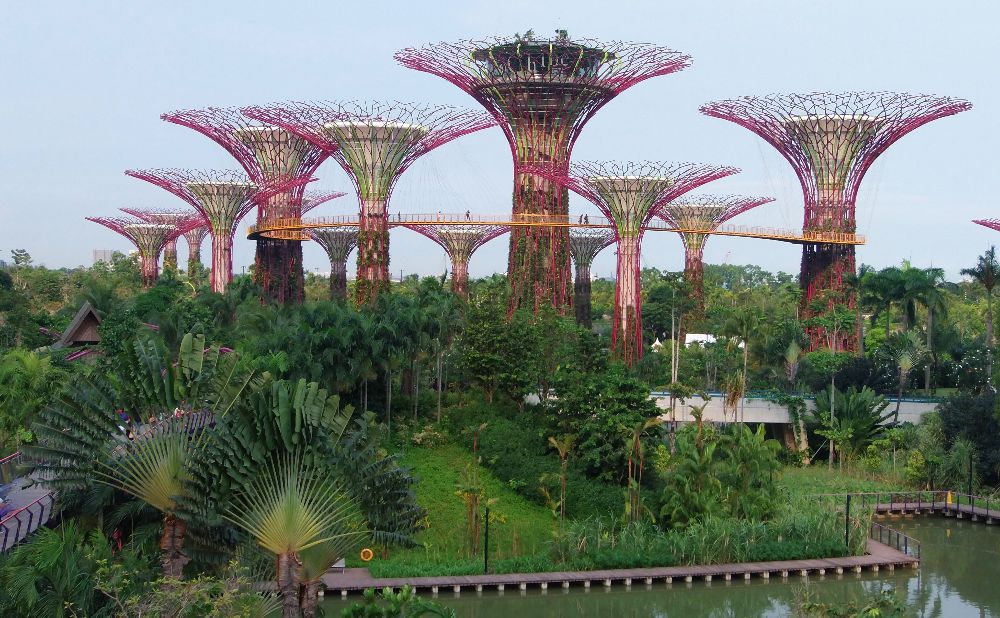 Six Easy International Trips From Australia: Short Flights, Big Adventures 6 Singapore's Gardens By the Bay